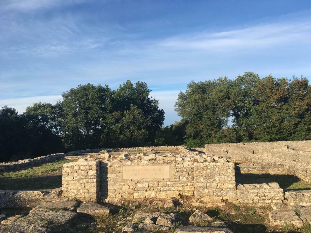 Studio & Apartment 'The Roots Apartments' Near Pula, Istria, Croatia Ngoại thất bức ảnh