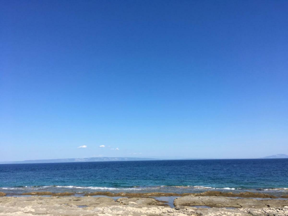 Studio & Apartment 'The Roots Apartments' Near Pula, Istria, Croatia Ngoại thất bức ảnh